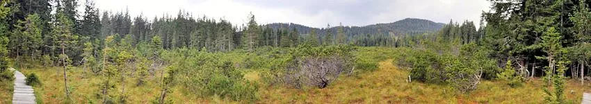 TDer Goreljek Naturwanderweg